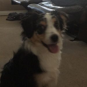 Meet your Posher, Courtenay